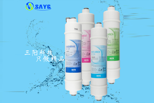 ��ʽ�����о